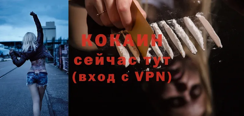 COCAIN FishScale  как найти закладки  Кингисепп 